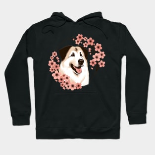 Anatolian Shepherd Dog Enjoys Spring's Cherry Blossoms Hoodie